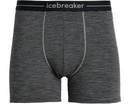 Боксеры Icebreaker Anatomica из шерсти с эластичным поясом