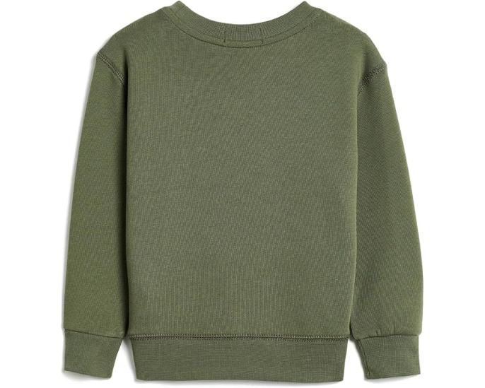 Polo Bear Fleece Sweatshirt (Toddler/Little Kid)