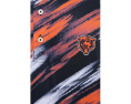 The Color Blitz Bears (Polo)