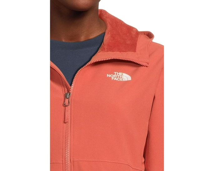 Толстовка Shelbe Raschel с ветрозащитной тканью от The North Face