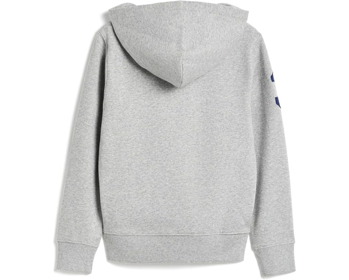 Big Pony Fleece Hoodie (Toddler/Little Kid)
