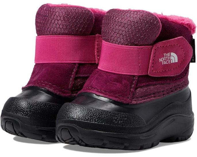 Детские зимние ботинки The North Face Kids Alpenglow II для малышей