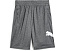 Спортивные шорты Boys Core Essential Puma