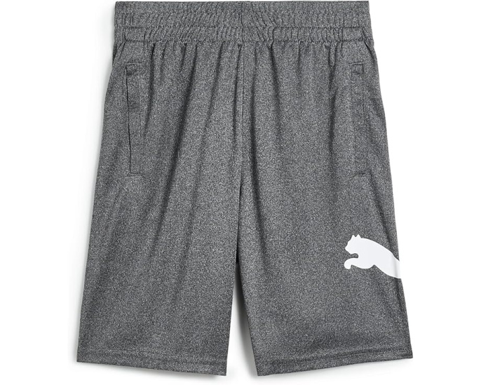 Спортивные шорты Boys Core Essential Puma