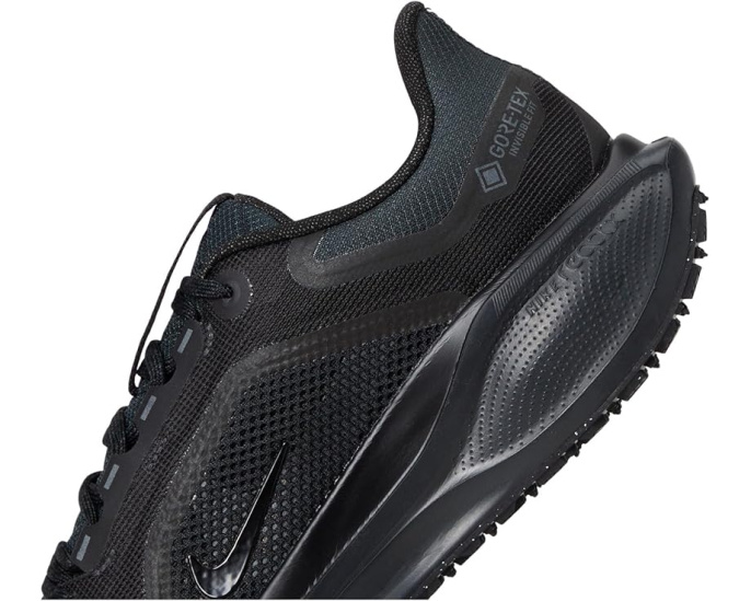 Беговые кроссовки Nike Pegasus 41 GORE-TEX с защитой от воды
