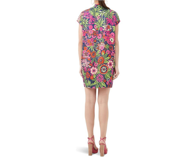 Tarashi Dress