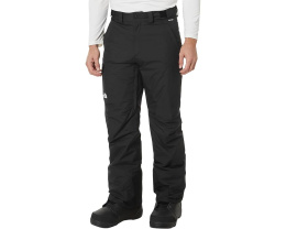 Утепленные лыжные брюки The North Face Freedom с изоляцией 60 г