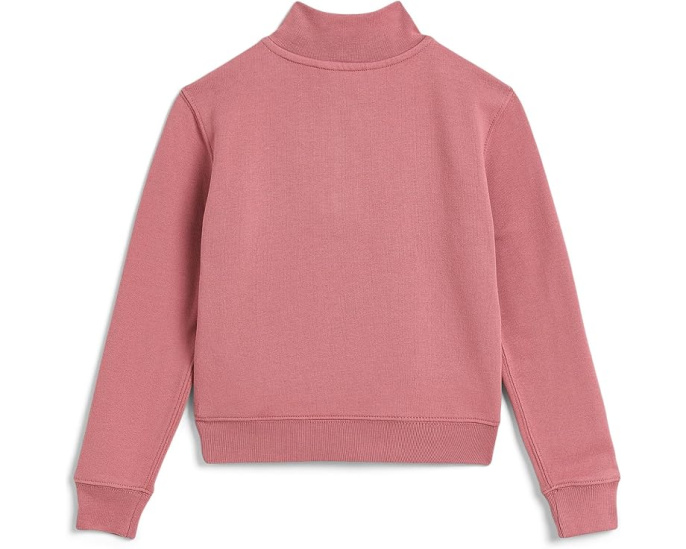3/4 Zip Fleece Pullover (Toddler/Little Kid)