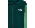 Детская флисовая кофта The North Face Glacier Full Zip с капюшоном