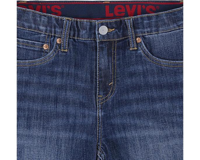 Шорты Levi's Lightweight Performance для детей и подростков