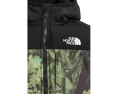 Двусторонняя куртка The North Face Shasta с капюшоном