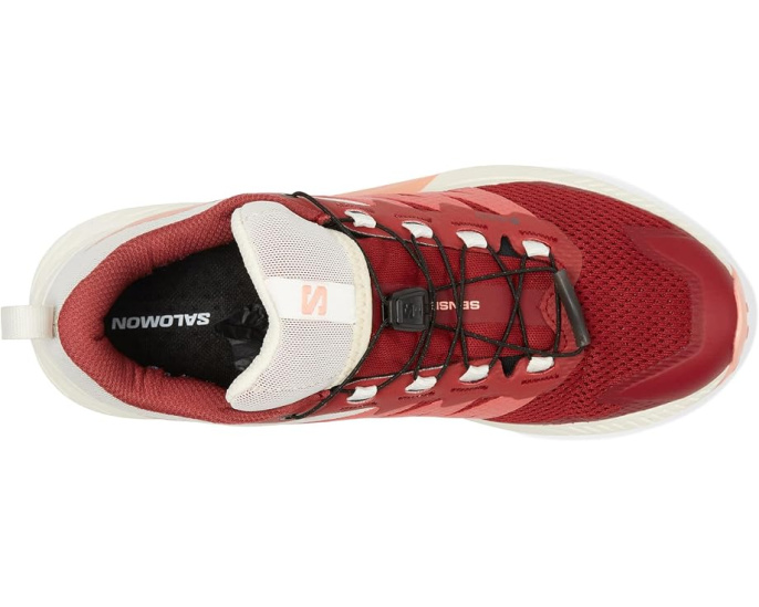 Кроссовки Salomon Sense Ride 5 GORE-TEX водонепроницаемые