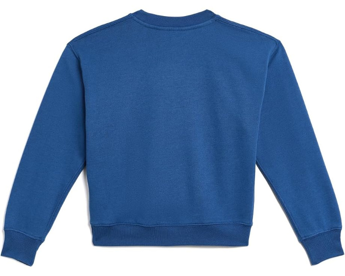 Logo Fleece Sweatshirt (Toddler/Little Kid)