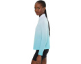 Гольф-топ Jamie Sadock Ombre Stripe Long Sleeve Zip Mock