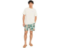 Плавки Tommy Bahama Naples Tidal Fronds 6 с принтом листьев