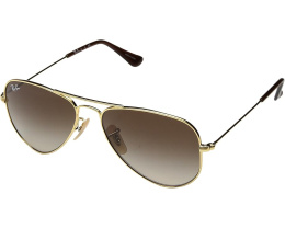 RJ9506S Aviator Sunglasses (Little Kid/Big Kid)