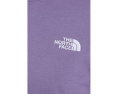 Футболка The North Face Evolution Simple Dome Relaxed с коротким рукавом