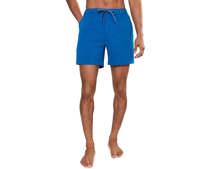Шорты Chubbies The Blue Ribbons 6" Breezetech для повседневной носки
