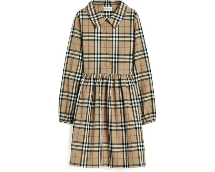 Winifred Check Dress (Toddler/Little Kid/Big Kid)