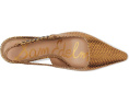 Лодочки Baker с острым носком и украшенными ремешками Sam Edelman