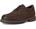 Туфли Dr. Scholl's Ashton Derby со стелькой из растительной пены Bloom