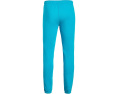 Штаны The North Face Kids Evolution Simple Dome из велюра