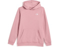 Худи The North Face Evolution Simple Dome с капюшоном для детей