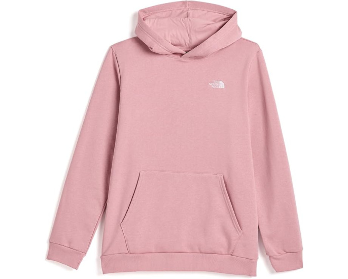 Худи The North Face Evolution Simple Dome с капюшоном для детей