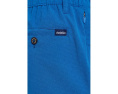 Шорты Chubbies The Blue Ribbons 6" Breezetech для повседневной носки
