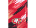 The Color Blitz 49ers 5.5" (Classic Lined Swim Trunks)