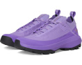 Arc'teryx Кроссовки Vertex Alpine GTX с мембраной Gore Tex и подошвой Vibram MegaGrip