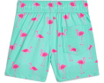 Плавки Core Poly Swim Trunks для детей от abercrombie kids