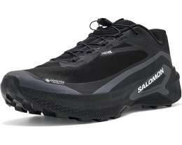 Трейловые кроссовки Salomon Genesis 2 GORE-TEX