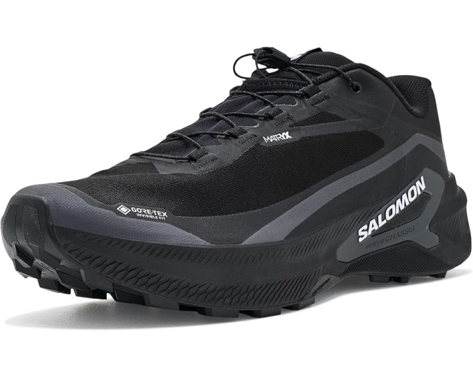 Трейловые кроссовки Salomon Genesis 2 GORE-TEX