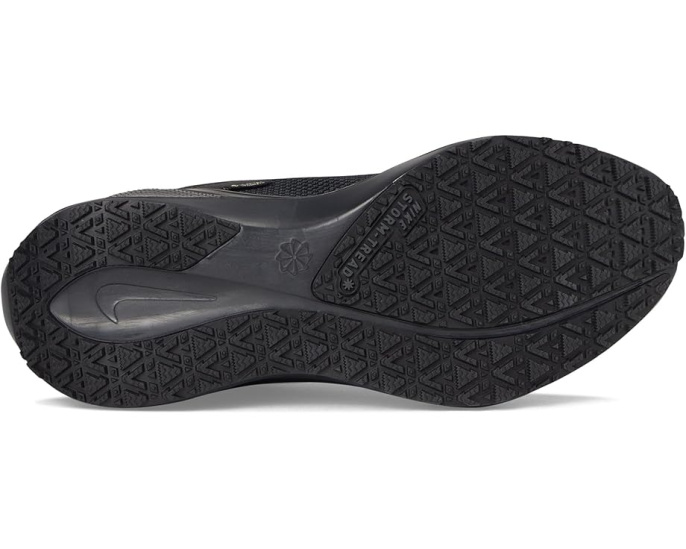 Кроссовки Nike Pegasus 41 GORE-TEX с технологией ReactX для бега по мокрой дороге