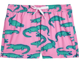 Детские плавки Glades Lined от Chubbies Kids с быстросохнущей тканью