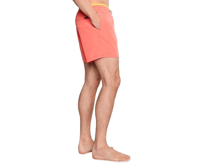 Плавки The Peach Perfects Chubbies 5.5 дюйма с сеткой