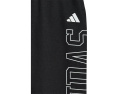 Штаны Collegiate Graphic для детей от Adidas