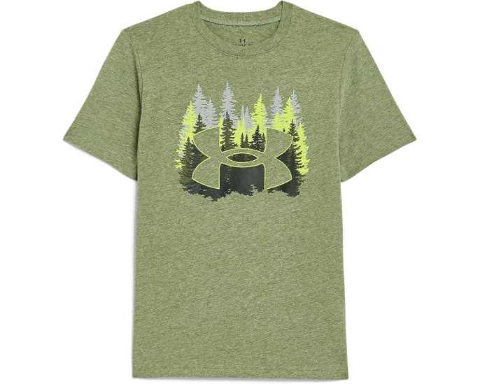Футболка Under Armour Pineview с графикой