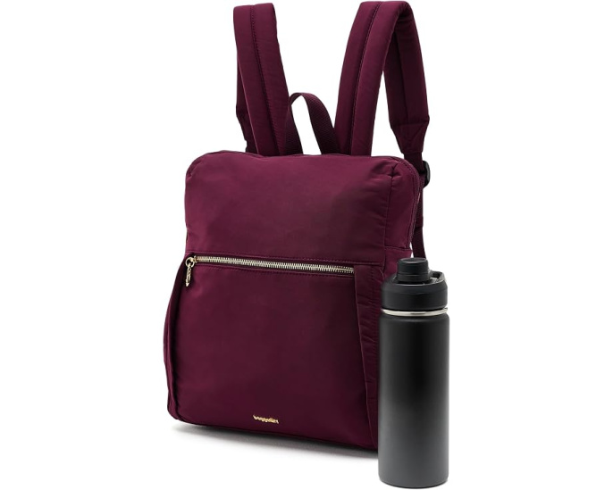 Рюкзак Baggallini Jet Set Anti-Theft Daypack с защитой от кражи