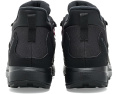 Ботинки Adidas Terrex Anylander Climawarm+ для походов