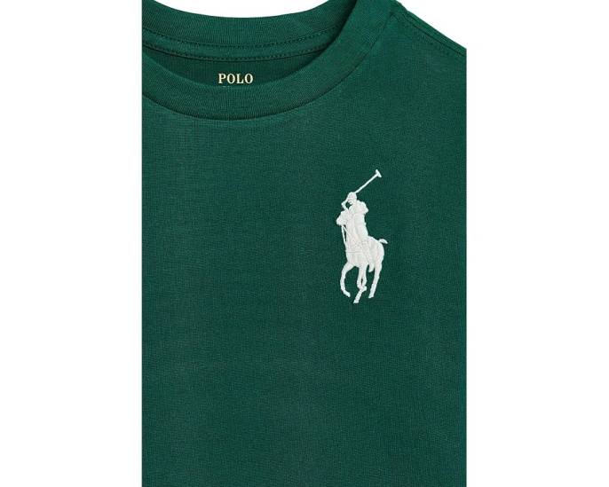 Big Pony Cotton Long Sleeve Tee (Toddler/Little Kid)