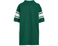 Поло Polo Ralph Lauren Kids Big Pony из хлопка