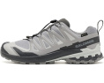 Трейловые кроссовки XA Pro 3D V9 GORE-TEX Salomon