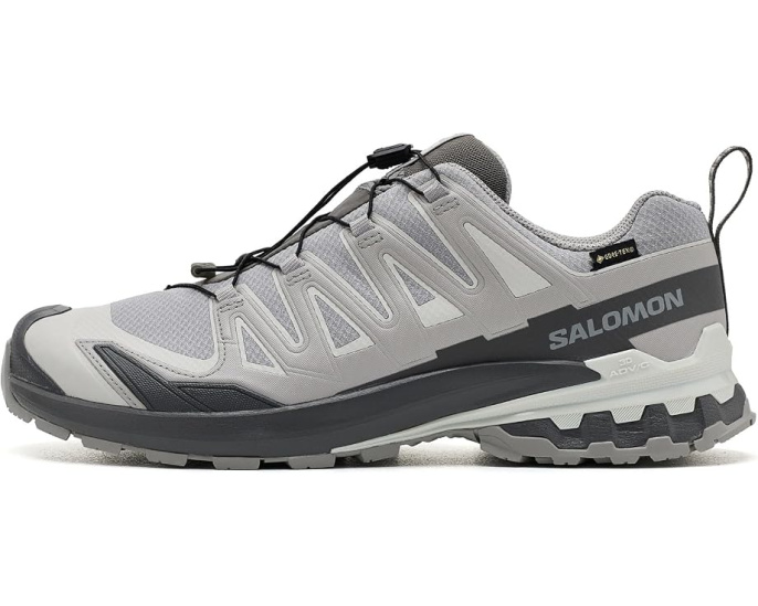 Трейловые кроссовки XA Pro 3D V9 GORE-TEX Salomon