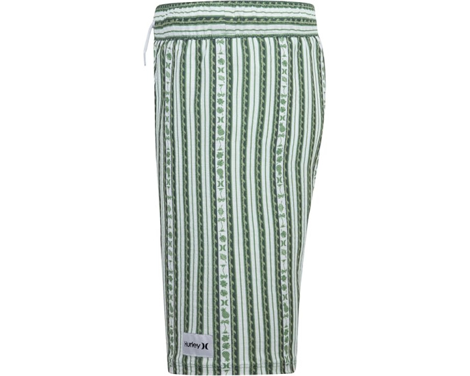 Детские плавательные шорты Hurley Kids Mini Vacay Stripe Pull On Swim Trunk
