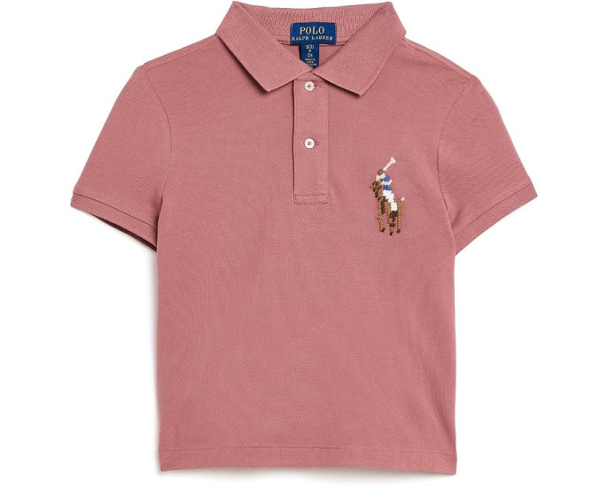 Boxy Big Pony Stretch Mesh Polo Shirt (Toddler/Little Kid)