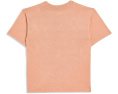 Топ Sunfaded Knit от abercrombie kids с принтом Canyon Sunset