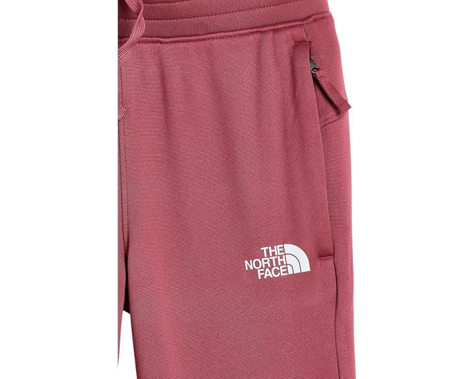 Флисовые джоггеры TNF Performance для детей