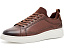 Кроссовки Steve Madden Panthr мужские на платформе из кожи цвета коньяк
